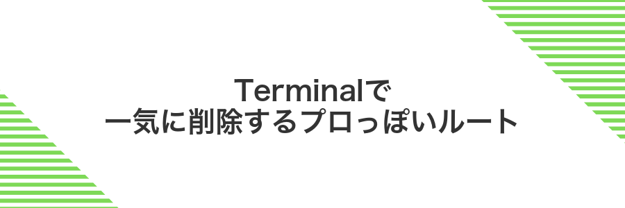 Terminalで一気に削除するプロっぽいルート
