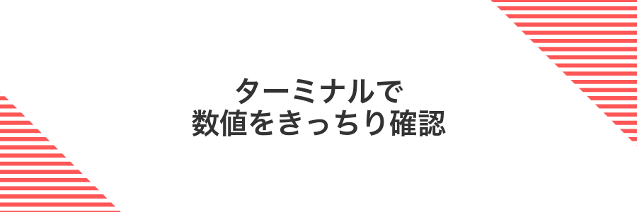 ターミナルで数値をきっちり確認