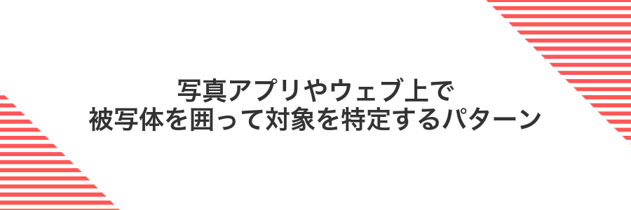 写真アプリやウェブ上で被写体を囲って対象を特定するパターン