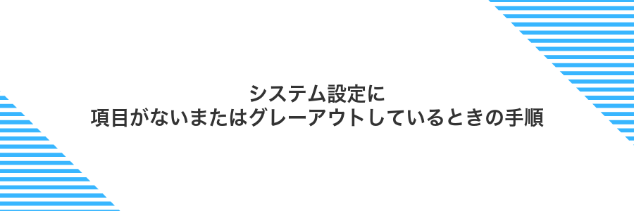 システム設定に項目がないまたはグレーアウトしているときの手順