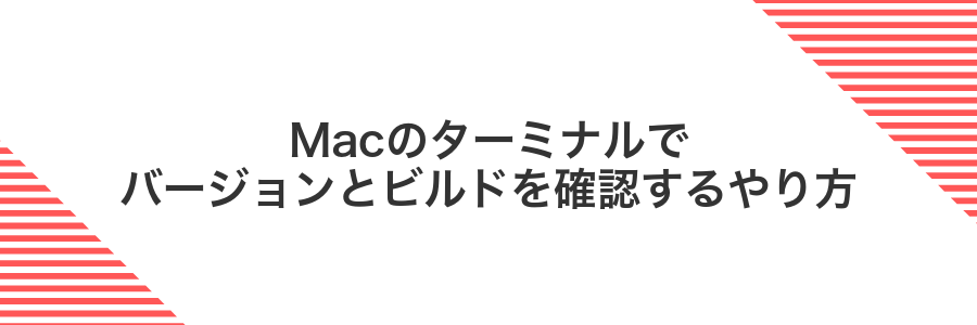Macのターミナルでバージョンとビルドを確認するやり方
