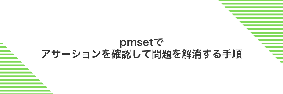 pmsetでアサーションを確認して問題を解消する手順