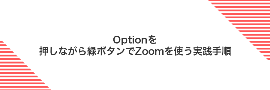 Optionを押しながら緑ボタンでZoomを使う実践手順