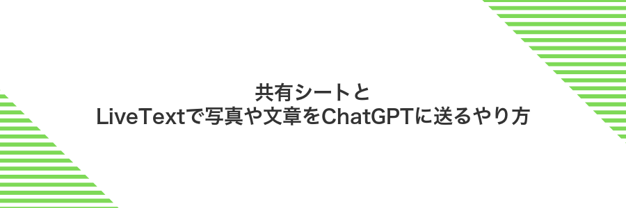 共有シートとLiveTextで写真や文章をChatGPTに送るやり方