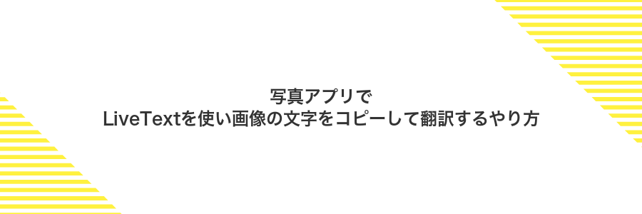 写真アプリでLiveTextを使い画像の文字をコピーして翻訳するやり方