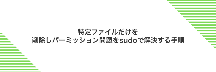特定ファイルだけを削除しパーミッション問題をsudoで解決する手順