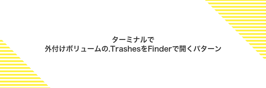 ターミナルで外付けボリュームの.TrashesをFinderで開くパターン