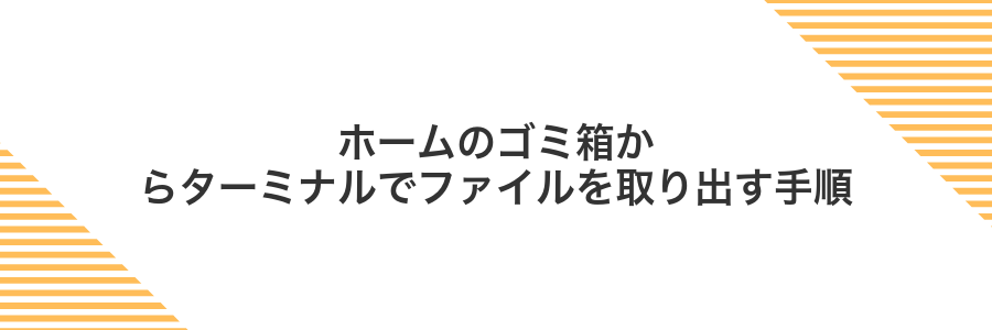 ホームのゴミ箱からターミナルでファイルを取り出す手順